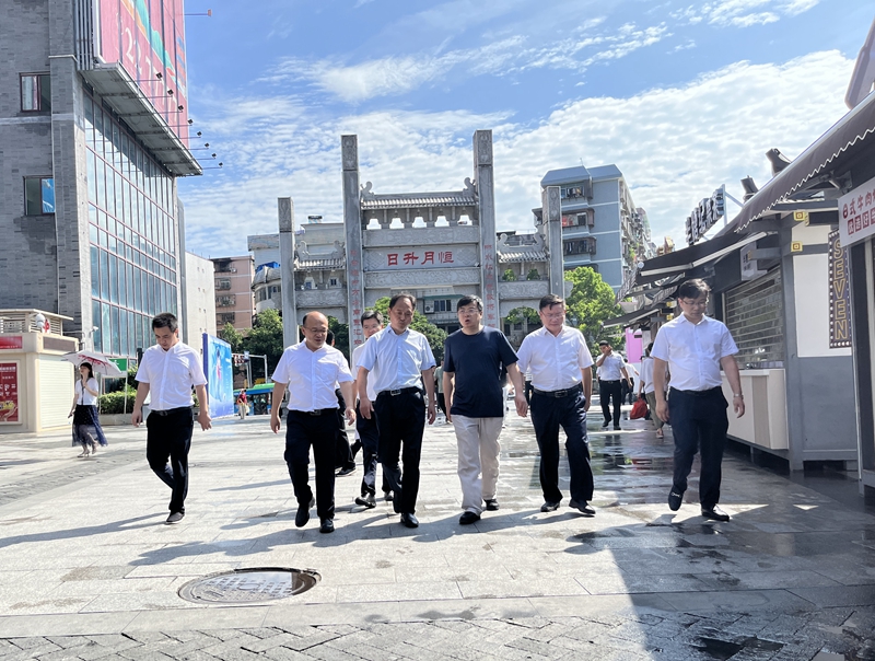 湖南省文化和旅游廳黨組副書記、副廳長、省文物  局長陳遠(yuǎn)平調(diào)研湖南建投·裕后里項目
