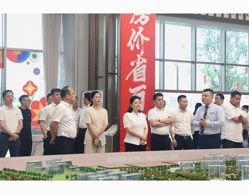 走找想促 | 公司黨委書記、董事長(zhǎng)王文帶隊(duì)調(diào)研湘潭兩項(xiàng)目