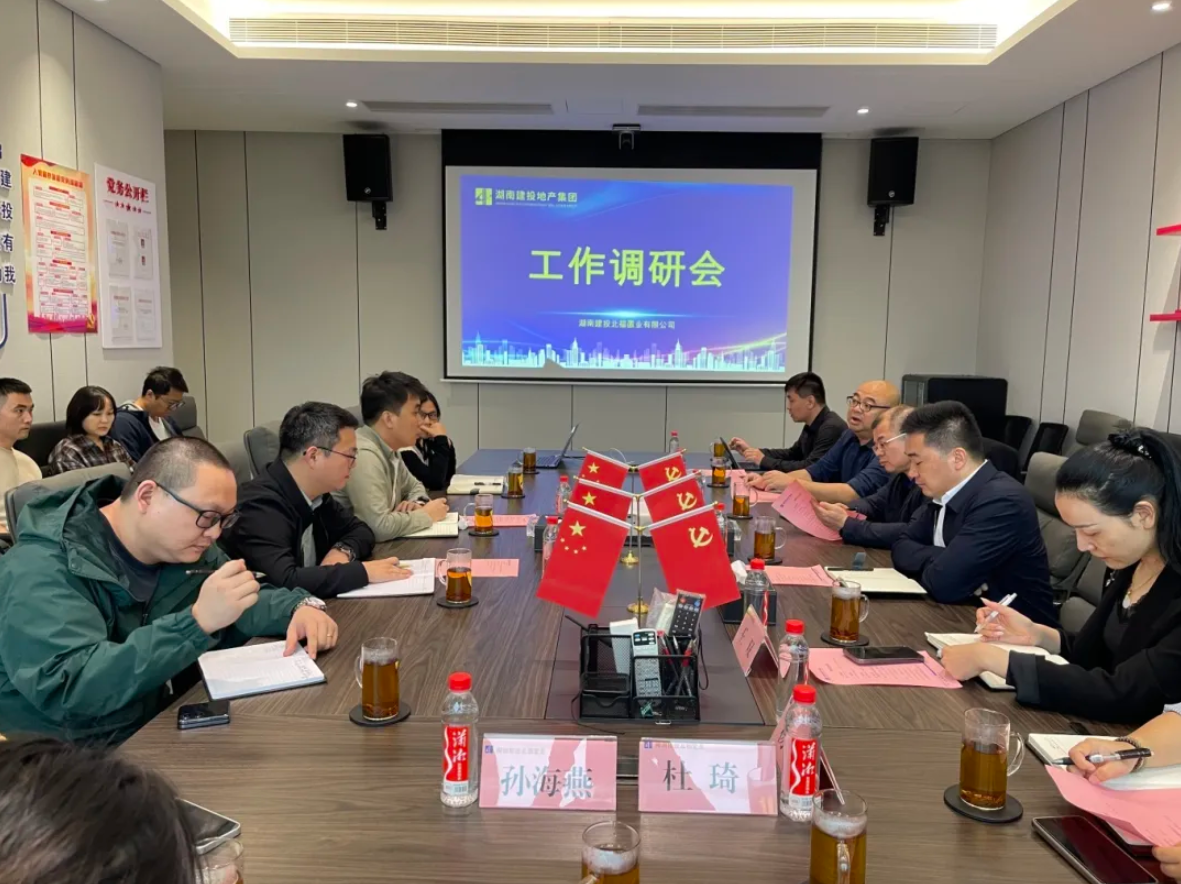 陽繼承帶隊調(diào)研湖南建投·向江徠項目