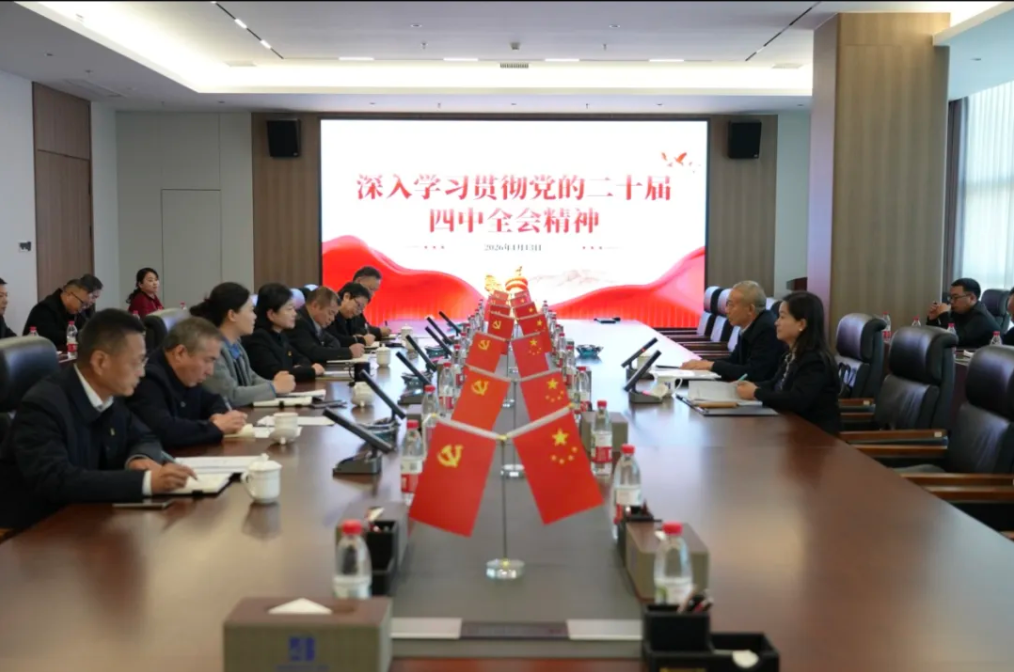 集團(tuán)總經(jīng)濟(jì)師彭益民到公司宣講黨的二十屆四中全會(huì)精神并開展工作調(diào)研