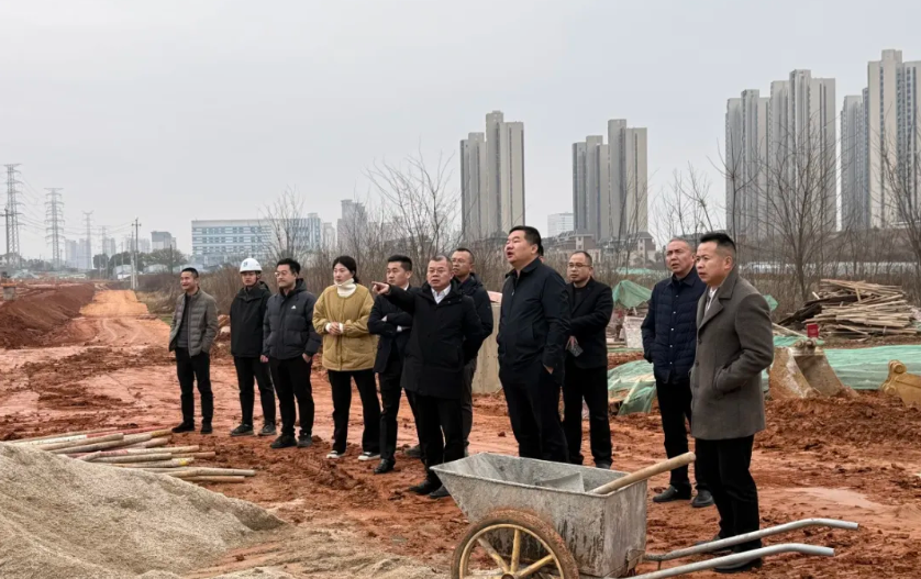 陽(yáng)繼承帶隊(duì)調(diào)研春風(fēng)十里項(xiàng)目