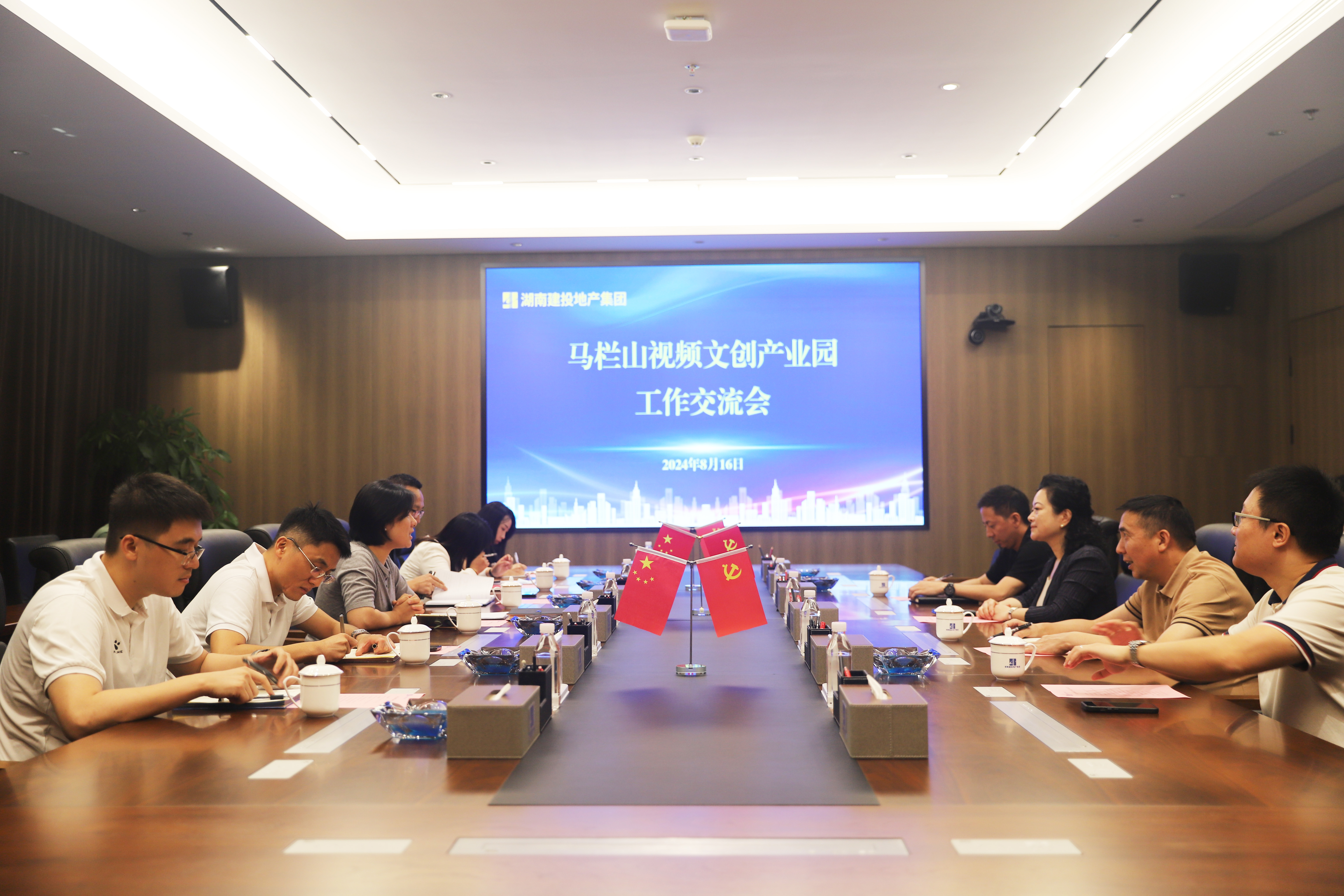 馬欄山視頻文創(chuàng)產(chǎn)業(yè)園黨工委副書(shū)記、管委會(huì)主任胡珊珊一行來(lái)司交流