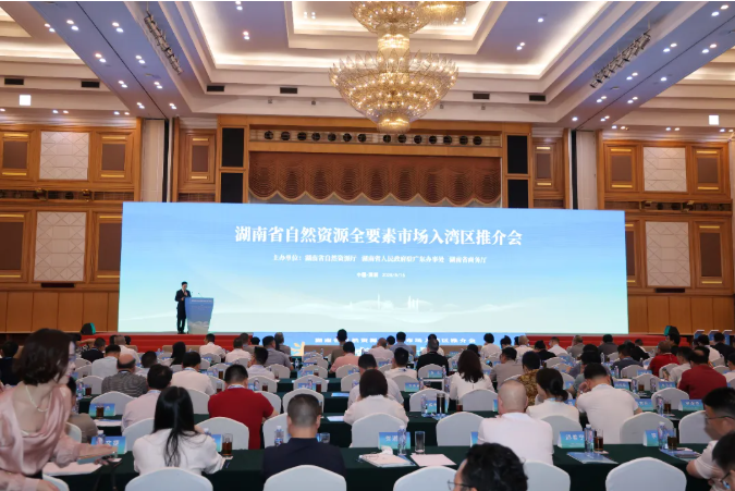 領(lǐng)創(chuàng)數(shù)智中心項(xiàng)目亮相湖南省自然資源全要素市場入灣區(qū)推介會